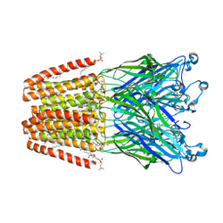 59334117117279908919326586416284354943781775533468435051884907547655080509441