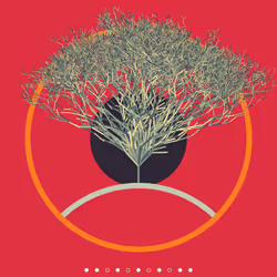 74168867016011539093366687608765447348507224284888477074887990321309550641153