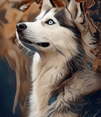 Item #55194170114316829254510540882056805105839780661508919584624435971253350694913 Media