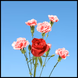 65735283901235411095565859455791530090015704811558660765095343389700968677475