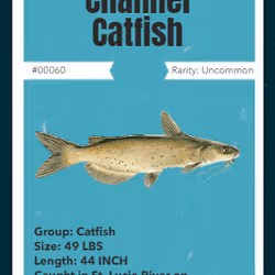 43502264269384842523243150070095810631836830099831581701628991975750688047105