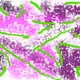 21450006730471332728222459241960871523067260876154461013768838205010182406145