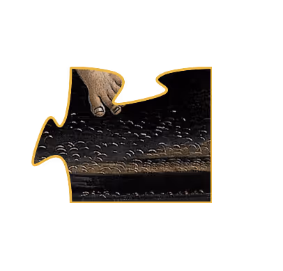 Item #75422050829207020223155639576581706124142298038255743959433826846221820493825 Media