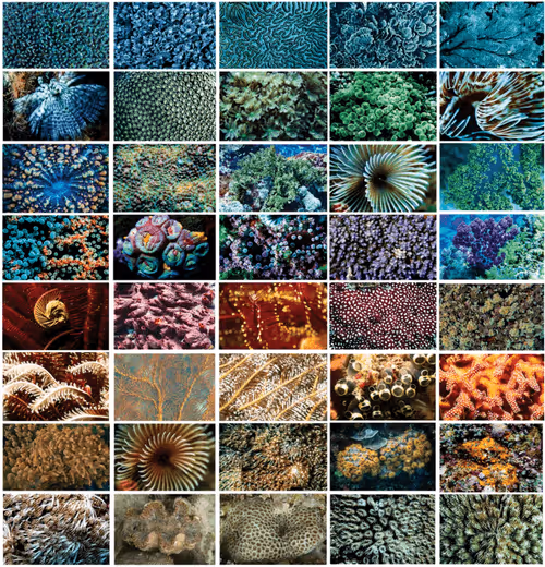 Item #8955452666369490765702763622116220704964274093037672869107848687302586925057 Media