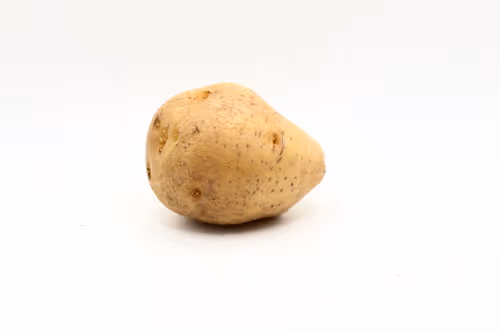 Item #97726151104522163495278545296769301934737660224123995419035737034429044883457 Media