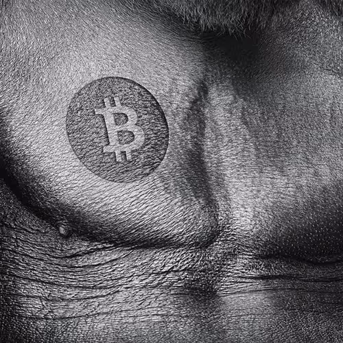 Item #1404736516812143796737347139805797685976196264274011436096350916290732359681 Media