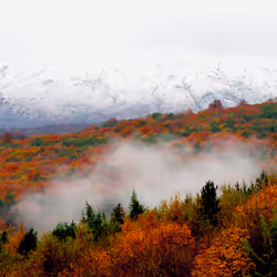 2468119463308914702005443652102614178506533567319377457804556999872919633921