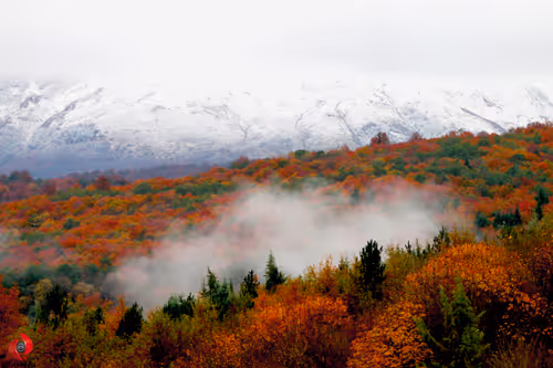 2468119463308914702005443652102614178506533567319377457804556999872919633921