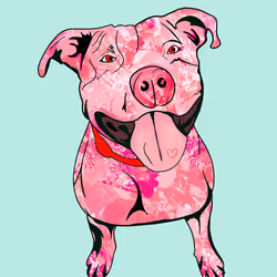 Valentine's Pitbull 02