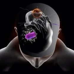 82499821858828394777303765086255735206290245587146606633114827924188925263878