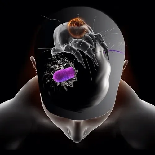 Item #82499821858828394777303765086255735206290245587146606633114827924188925263878 Media