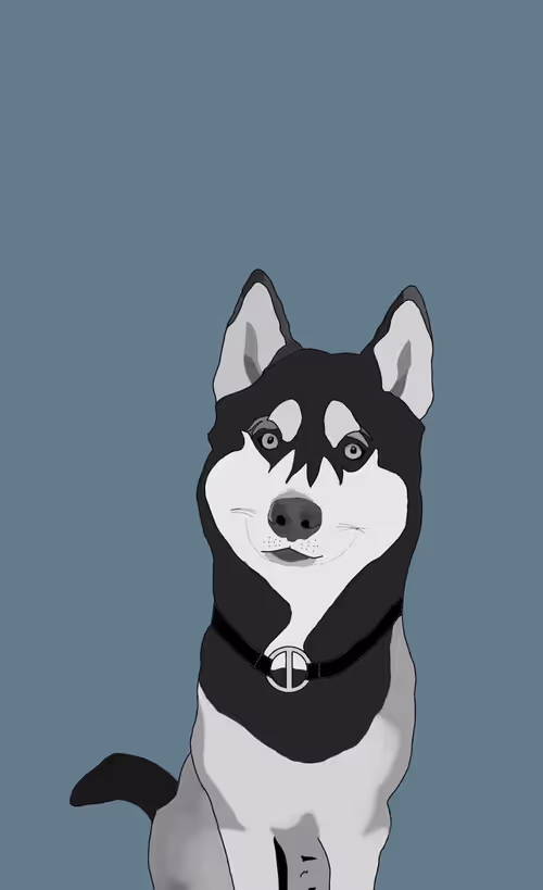 Item #73570995988182955492382859002571037338849120473623911156347411891897745014785 Media