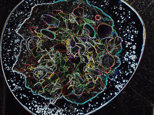 Item #38428491214432997710805119753130482033437213928045835260507500295565216841778 Media