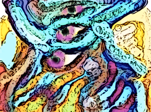 Item #88550933380159429652573600088596543452217115268663300900517750251818345037829 Media