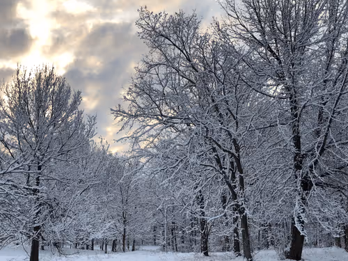 Item #98769998082664264236068942211495523435630940384929428884812966784756917207050 Media