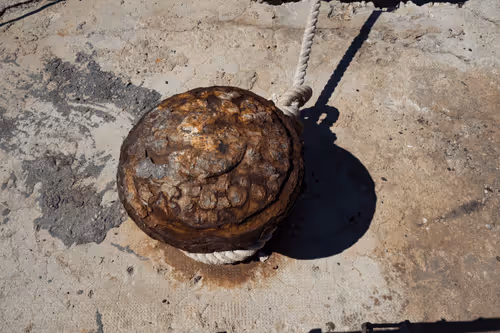 Item #99206175731752603969632246751396839615347692654100145142238794254414596014082 Media