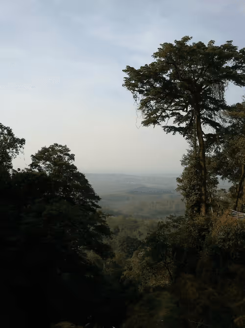 Item #84322506984009659559923408772288194812278509415660143482754304574122631364609 Media