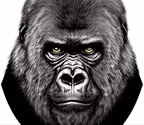 Item #24208002155086398990721178205637471765407571328590730514943596888121948504065 Media