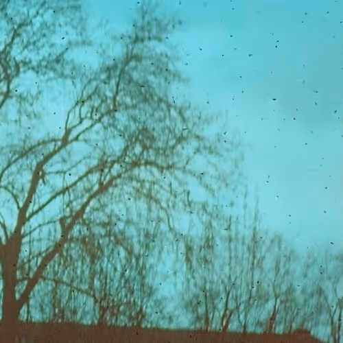 Item #26240500746670689107494502172529202966173513927234395913133241686467685646337 Media