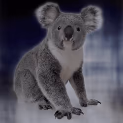 75086745474347274452093740593438062832653814310012917017256883127613774626817