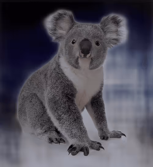 Item #75086745474347274452093740593438062832653814310012917017256883127613774626817 Media