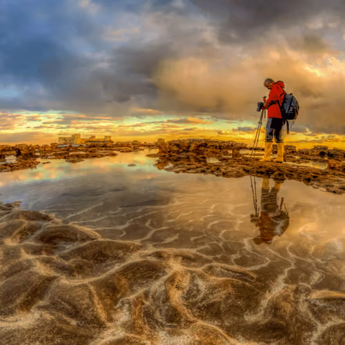 Amazing beauties from nature #75