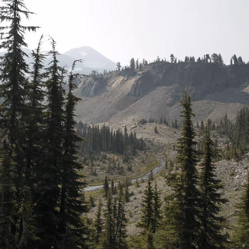 Item #2005862319158051831365229387864138466486092287762213337058068712032445661185 Media