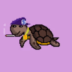 73701161554860131933736938316358371234672844911472844065508970320068123557889