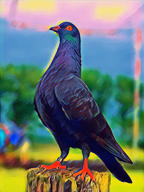 Item #10094219962135783735053489214764519107745543906553609880987490858286106804225 Media