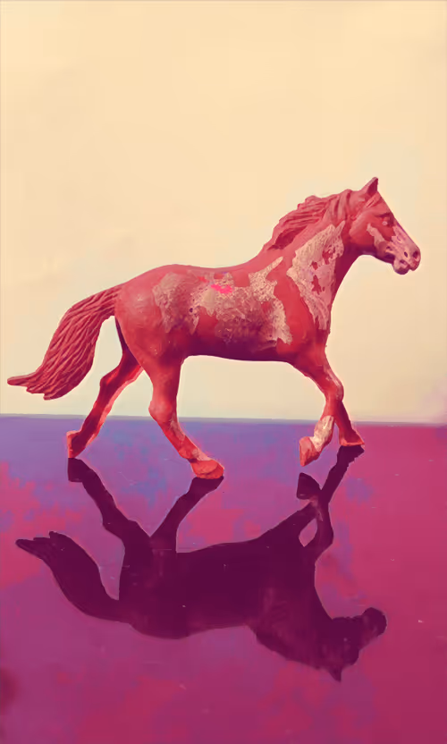 Item #83744598943058006340923454314792856147466055480968082310663932206318176174081 Media