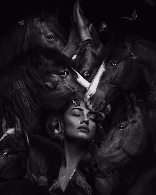 Item #11200372705396687576881507343902014633957047610736298303797534513775769550849 Media