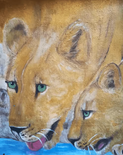 Item #55062131159944038160622016505172486972933508156011635560781713411660100665345 Media