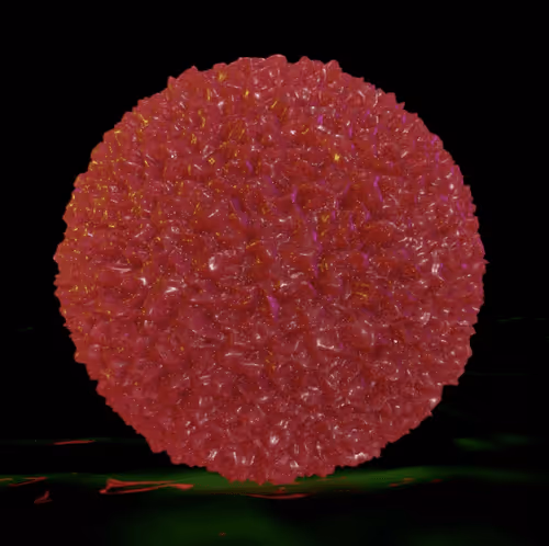 Item #12707062990549526026544550537814483854522142105165337917005369486916362174465 Media