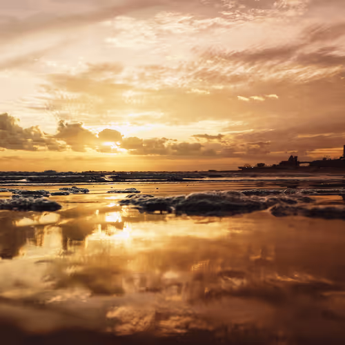 Item #31882075314192912160086998159124490424308141900795593509070756466831057223681 Media