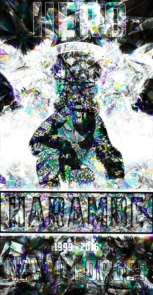 Item #48790520787155310426102062731270564561928034817995506544027698524960115916810 Media