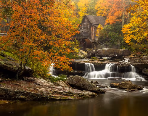 Untitled Collection #38982168