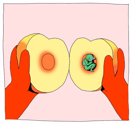 Item #71138152422633105264201639472565284960360725556922344107204546614378832592897 Media