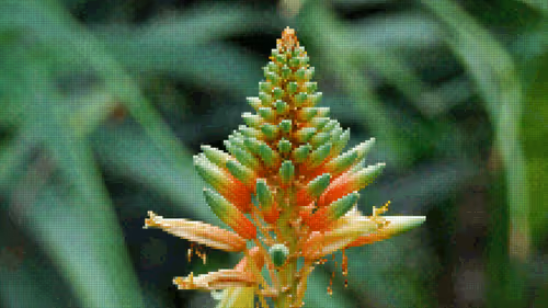 Item #75866091947728652238534111254584504918190435733442380629681527340555325931521 Media