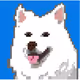 76237406062119678234710163088212169074299955679255712076640169624127592726529