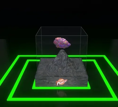 Item #30416664768498730083160680636723480070814186252642691524355120946248148844545 Media