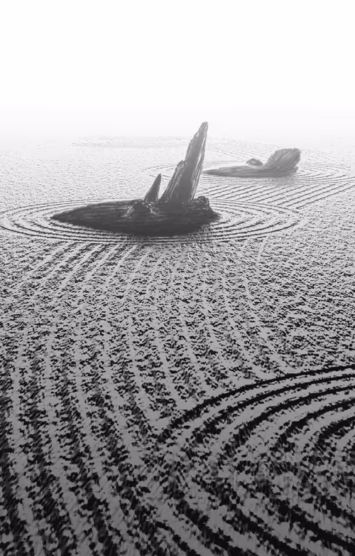 Item #24213454176569955367698054174080727993663666586213143991406365944438948112144 Media