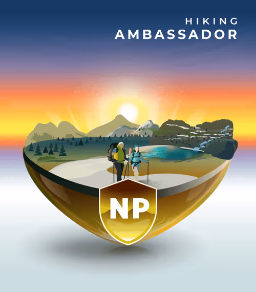 Item #45632538803430094249315000779073946933809287687393869115764233793461016330340 Media