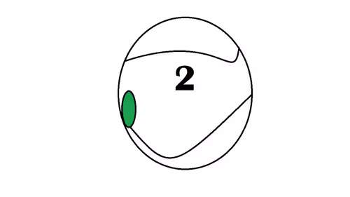 Item #43059686715374306200101589195187877631487956024522436712073410972487660863489 Media