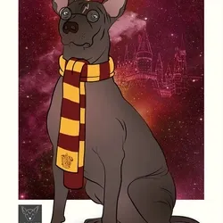 115412186582648874764752321087999128692557907064492986516876109652441381732353