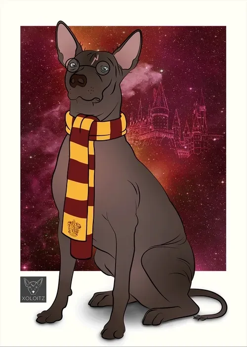 Item #115412186582648874764752321087999128692557907064492986516876109652441381732353 Media