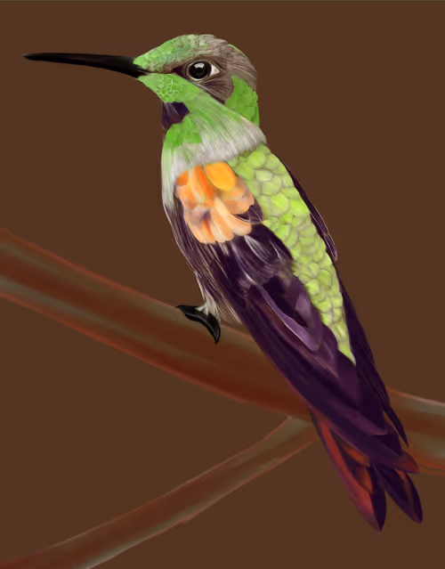 Item #106782413735208635119902631954591554085326486198823525899390614908782744961025 Media