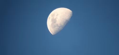 Item #78774018974347764357765192518377150739749637856503949941232678325914609647617 Media