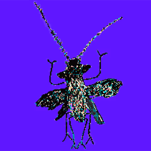 Item #96898871724600416347089477016076876510456035876333044123577738847071846268929 Media