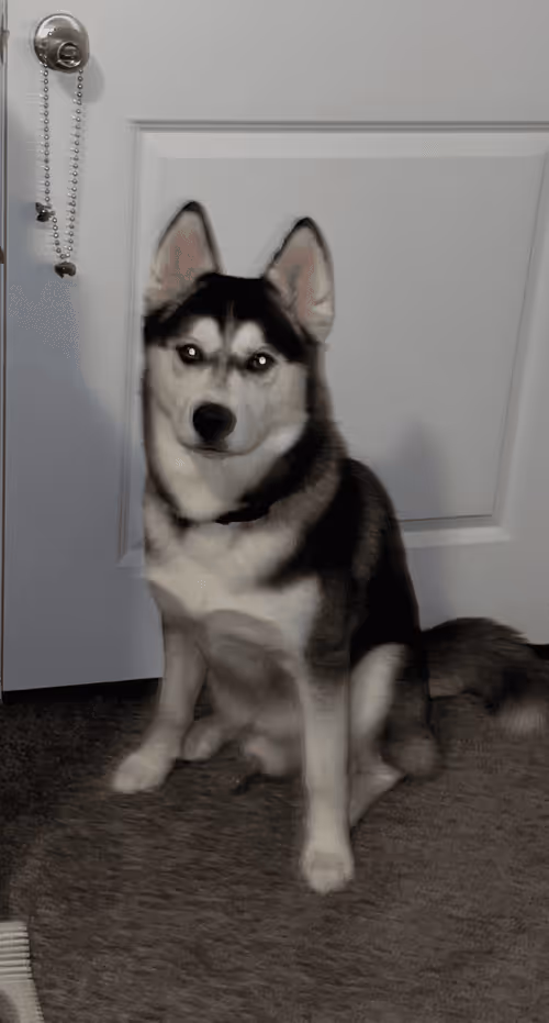 Item #75258278581533337401284625808560451496894295528913481625681080501595461910529 Media