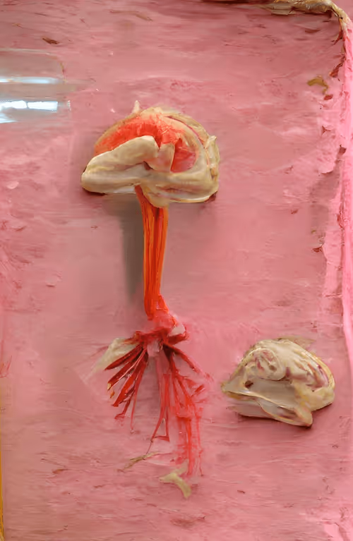 Item #10140923401323648314856181424804364384352192620127506602137422026456831098881 Media